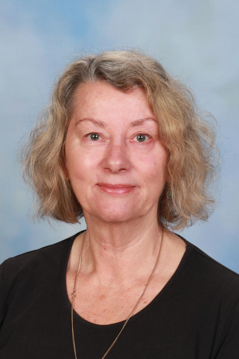 Sally Hendy